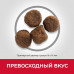 Hill's (Хиллс) Science Plan Puppy Medium with Lamb&Rice - Сухой корм с ягненком и рисом для щенков собак средних пород