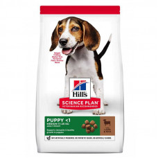 Hills Science Plan Puppy Medium with Lamb&Rice - A dry feed with a lamb and rice for puppies of dogs of average breeds