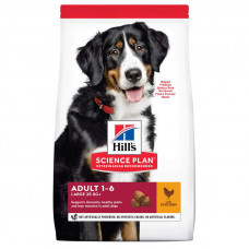 Hills Science Plan Adult Large with Chicken - A dry feed with chicken for adult dogs of large breeds