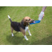 Savic Aqua Boy - A marching drinking bowl for dogs