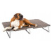 Ferplast of DREAM - A plank bed a folding bed for dogs