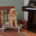 Ferplast of DREAM - A plank bed a folding bed for dogs