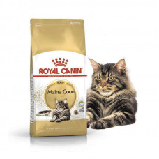 Royal Canin Maine Coon Adult - A dry feed with a bird for adult cats of breed the Maine Coon