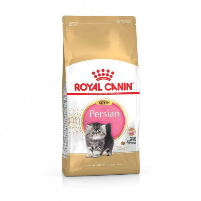 Royal Canin Kitten Persian - A dry feed with a bird for the Persian kittens