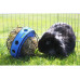 Savic Bunny Toy - A wheel - a feeder for hay and delicacies for rodents