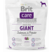 Brit Care (Care Is shaven) Giant Salmon & Potato is the Dry feed with a salmon and potatoes for adult dogs of huge breeds