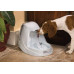 PetSafe Drinkwell Platinum Pet Fountain - The automatic fountainlet - a drinking bowl for dogs