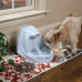 PetSafe Drinkwell Platinum Pet Fountain - The automatic fountainlet - a drinking bowl for dogs