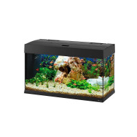 Ferplast of Dubai 80 LED (125 l) - A Steklyany aquarium of Dubai 80 with the LED lighting system and a set of the equipment