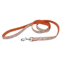 Coastal (Kostal) Pet Attire Ribbon - A lead nylon with a bright print for dogs