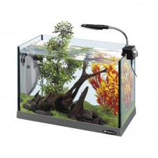 Ferplast of Cayman 40 Open (21 l) - An aquarium the Cayman 40 open rectangular with an equipment set