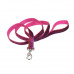 Coastal (Kostal) Pet Attire Sparkles - The lead shining for dogs