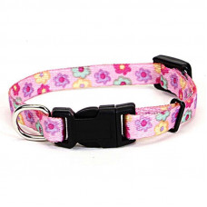 Coastal (Kostal) Lit l Pals - A collar for dogs, nylon