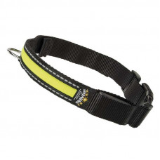 Ferplast of Night Collar C - The collar shining for dogs