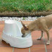 Ferplast of Vega is the Drinking bowl fountain for little dogs and cats