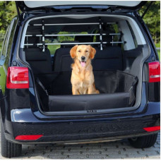 Trixie the Laying in a trunk of the car, the small size