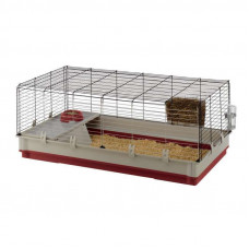 Ferplast of Krolik is the Cage for average rodents