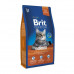 Brit Premium (Premium Is shaven) Cat Indoor is the Dry feed with chicken for domestic cats