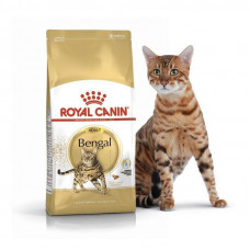 Royal Canin Bengal Adult - A dry feed with a bird for cats of the Bengalese breed