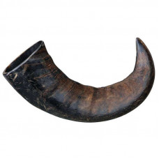 Trixie buffalo Horn, treats for dogs (1 piece)