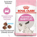 Royal Canin Mother Babycat - A dry feed with a bird for kittens from 1 to 4 months