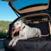 Ferplast of Dog Car Security - A protective screen for a car