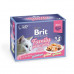 Brit Premium (Брит Премиум) Cat Family Plate Jelly - Набор паучей 