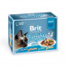 Brit Premium (Брит Премиум) Cat Family Plate Gravy - Набор паучей 