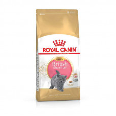 Royal Canin Kitten British Shorthair - A dry feed with a bird for the British short-haired kittens