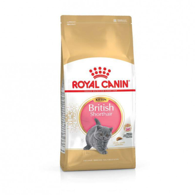 Royal Canin Kitten British Shorthair - A dry feed with a bird for the British short-haired kittens