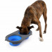 Dexas Collapsible Pet Feeder - A double pan for a koshachy forage