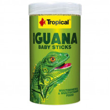 Tropical Iguana Baby Stick - A forage for young iguanas