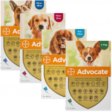 Advocate by Bayer Animal - Antiparasitic drops for dogs from fleas, louses, pincers, helminths (1 pipette)