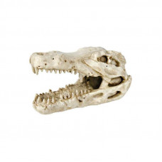 Trixie the Skull of a crocodile of TRIXIE for an aquarium decor