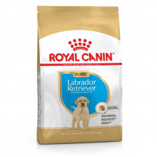 Royal Canin Labrador Retriever 33 Junior - A dry feed for puppies of Labrador