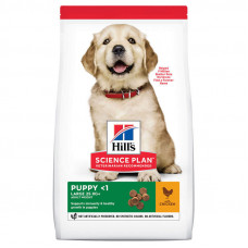 Hills Science Plan Puppy Large with Chicken - A dry feed with chicken for puppies of dogs of large breeds