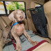 Ferplast of Dog Car Divider - A partition automobile with pockets for travel