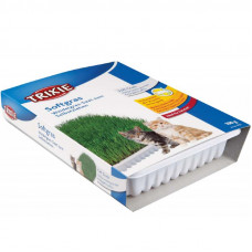 Trixie (Trixie) Soft Grass - A grass for kittens and adult cats