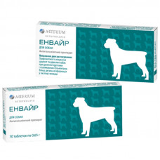 Arterium Envayr - Anthelminthic tablets for dogs (1 tablet)