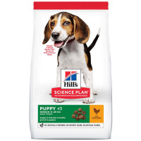 Hills Science Plan Puppy Medium with Chicken - A dry feed with chicken for puppies of dogs of average breeds