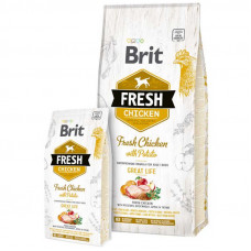 Brit (Is shaven) Fresh Chicken With Potato Adult - the Dry feed with chicken and potatoes for adult dogs