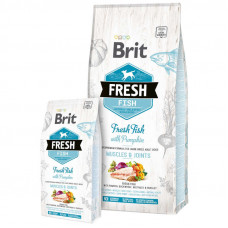 Brit (Is shaven) Fresh Fish Pumpkin Adult Large - the Dry feed with fish and pumpkin for adult dogs of large breeds