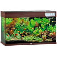 JUWEL (Yuvel) of RIO LED (125 l) - An aquarium with an equipment set