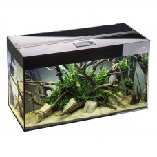 Aquael Glossy 80 (125 l) - A straight line aquarium with a cover lamp