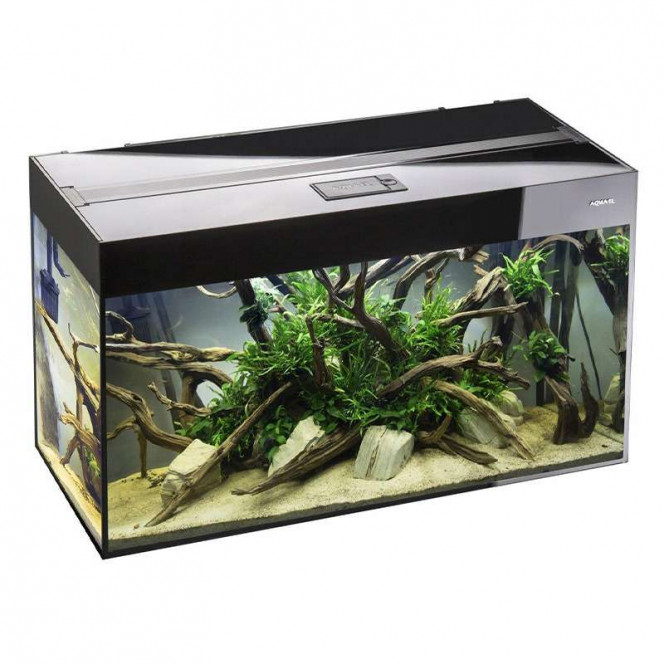 Aquael Glossy 80 (125 l) - A straight line aquarium with a cover lamp