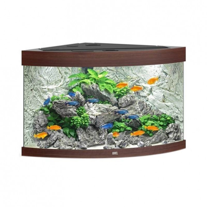 JUWEL (Yuvel) TRIGON LED (190 l) - An angular, panoramic aquarium with an equipment set