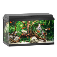 JUWEL (Yuvel) PRIMO LED (60 l) - An aquarium rectangular with an equipment set