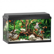 JUWEL (Yuvel) PRIMO LED (60 l) - An aquarium rectangular with an equipment set