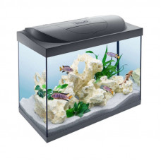 Tetra Starter Line LED (54 l) - An aquarium with an equipment set