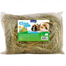 TM Nature Hay meadow Field mix